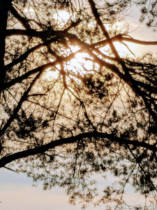 burnout sophrologue nimes